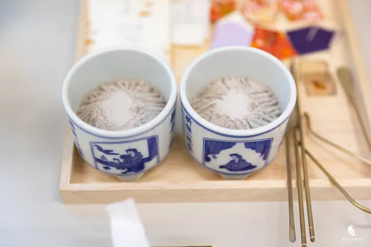 Copyright : Michael Bally